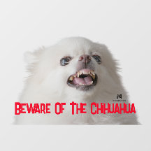Beware Of The Chihuahua - Customizable