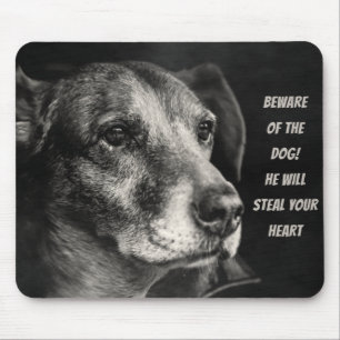 Beware of the dog, custom pet photo mouse pad