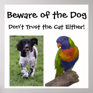 Beware of the dog. Don't trust the cat either! Poster