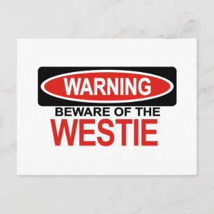 Beware Of Westie Postcard