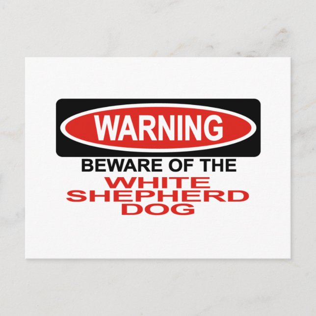 Beware Of White Shepherd Dog Postcard (Front)