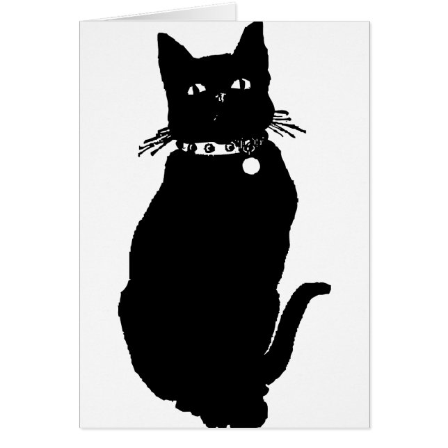 Beware the Black Cat (Front)
