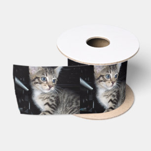 Beware The Kitten, Satin Ribbon