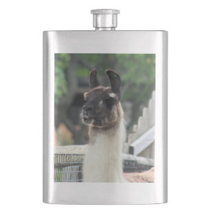 Beware the llama! hip flask