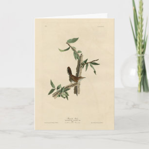 Bewick's Wren from Audubon's Birds of America Card