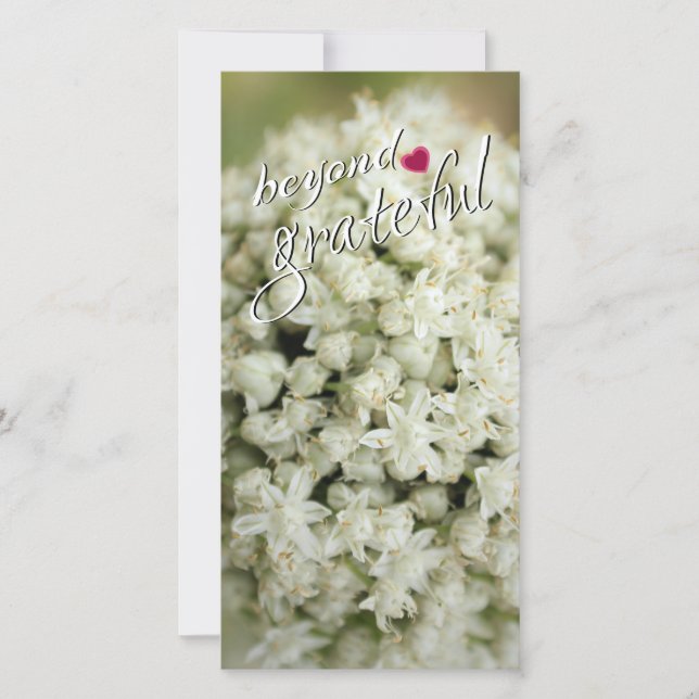 Beyond Grateful Tall Flat Thank You Cards (Front)