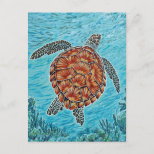 Beyond the Reef Postcard