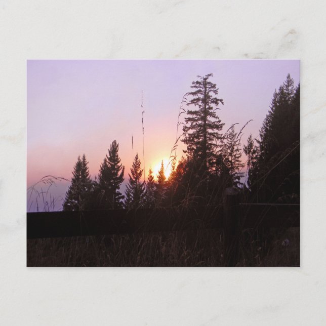 Beyond the trees...... postcard (Front)