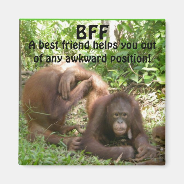 BFF Best Friends Forever Magnet (Front)