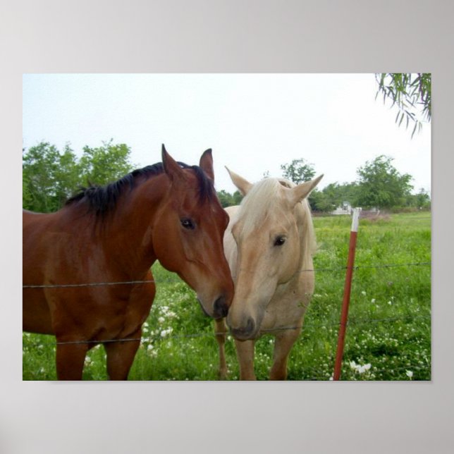 BFF Best Friends Forever Poster (Front)