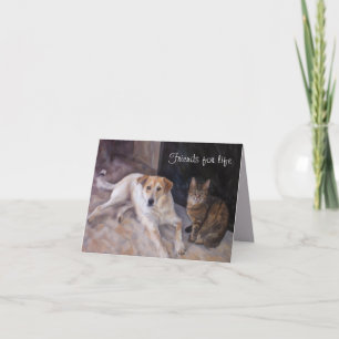 BFF Dog And Cat Folded Greeting Card