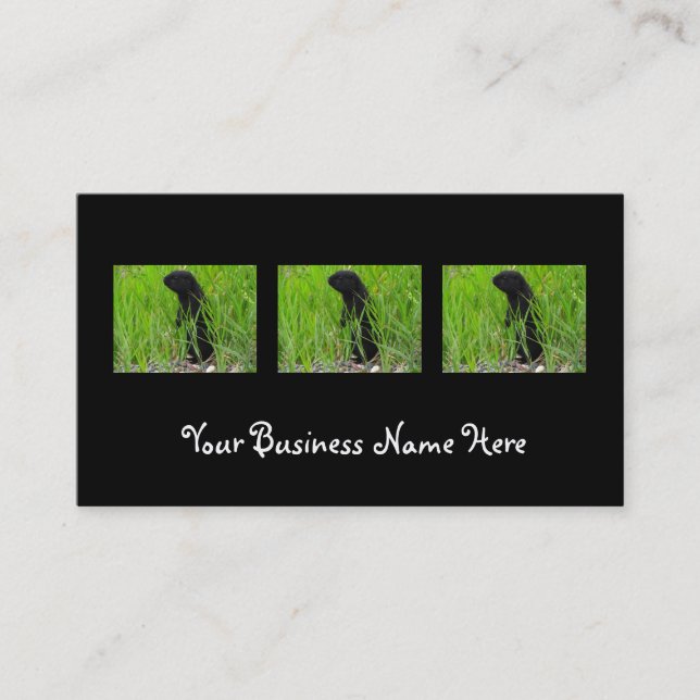 BGRO Black Ground Squirrel Business Card (Front)
