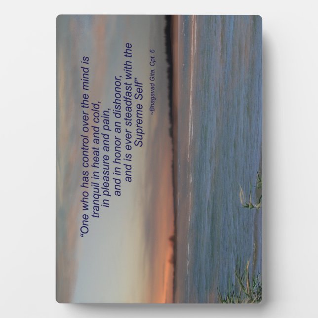 Bhagavad Gita Quote Plaque, “One who has control.. Plaque (Front)