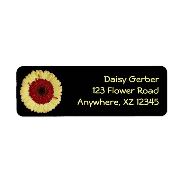 Bi-Colour Gerber Daisy (Front)