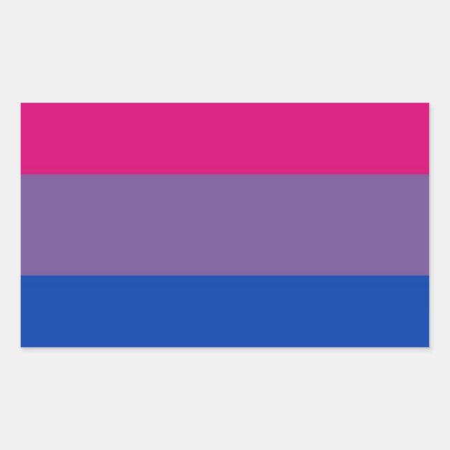 Bi Flag Flies For Bisexual Pride Rectangular Sticker (Front)
