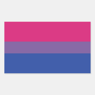 Bi Flag Rectangular Sticker