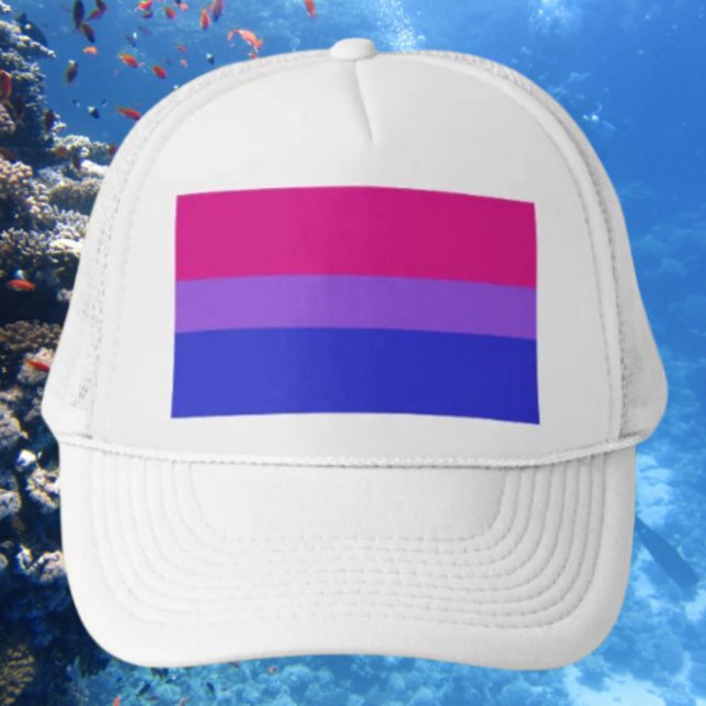 Bi Pride Bold Hat (Creator Uploaded)