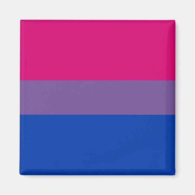 Bi Pride Flag Magnets (Front)