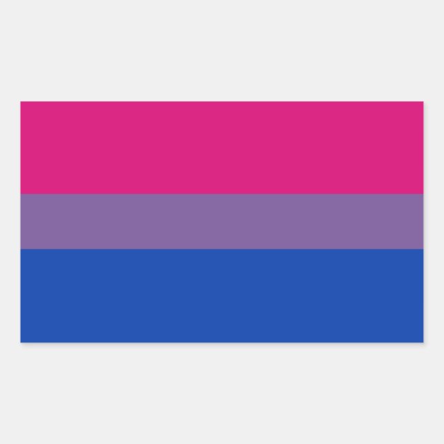 Bi Pride Flag Sticker Sheets (Rectangle) (Front)