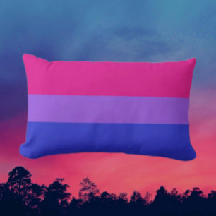 Bi Pride Lumbar Comfort Cushion