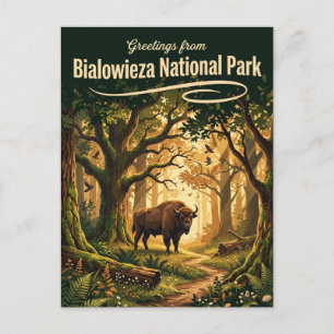 Bialowieza National Park Poland Postcard