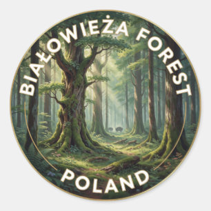 Bialowieza Primeval Forest Poland Landscape Classic Round Sticker