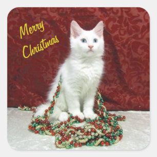 Bianca's Maine Coon Christmas - Cat / Kitten Square Sticker