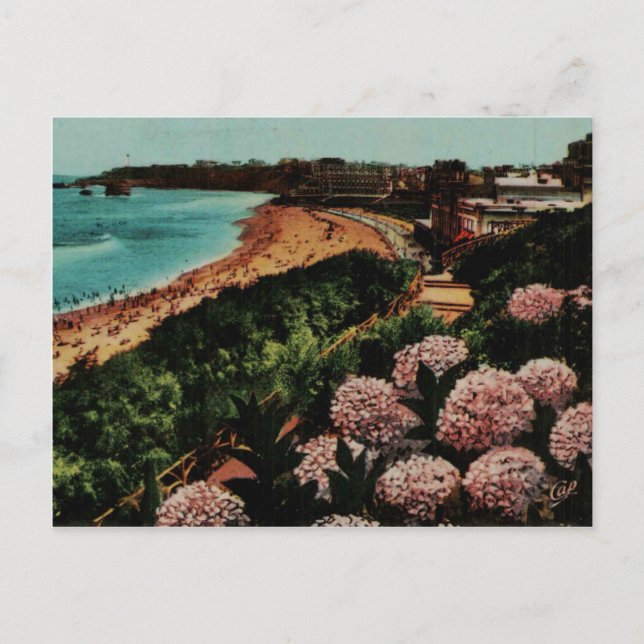 Biarritz Hortensias France Postcard (Front)