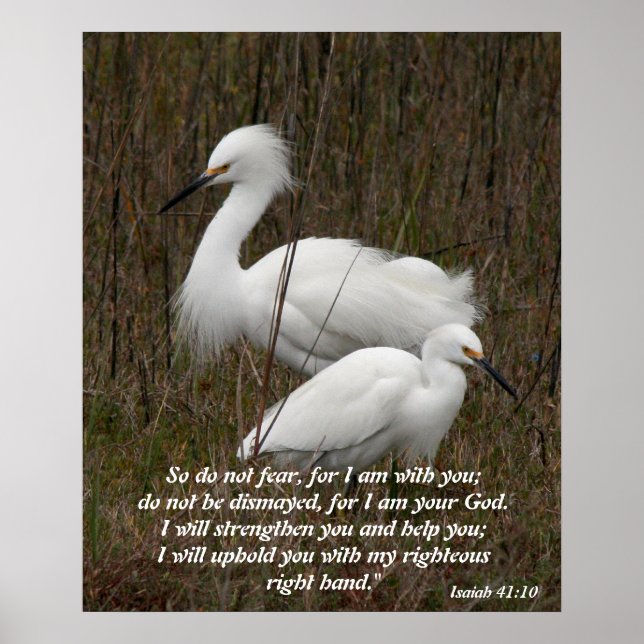 Bible Christian Scripture Inspiration Spirit Truth Poster (Front)