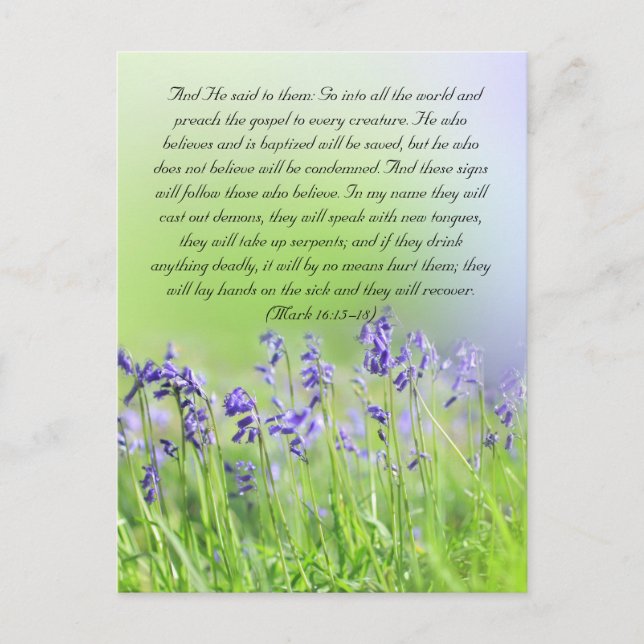 Bible passage, bluebells close up postcard (Front)
