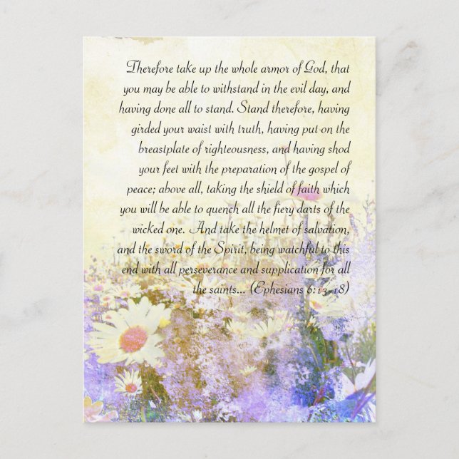 Bible passage, grunge daisy postcard (Front)