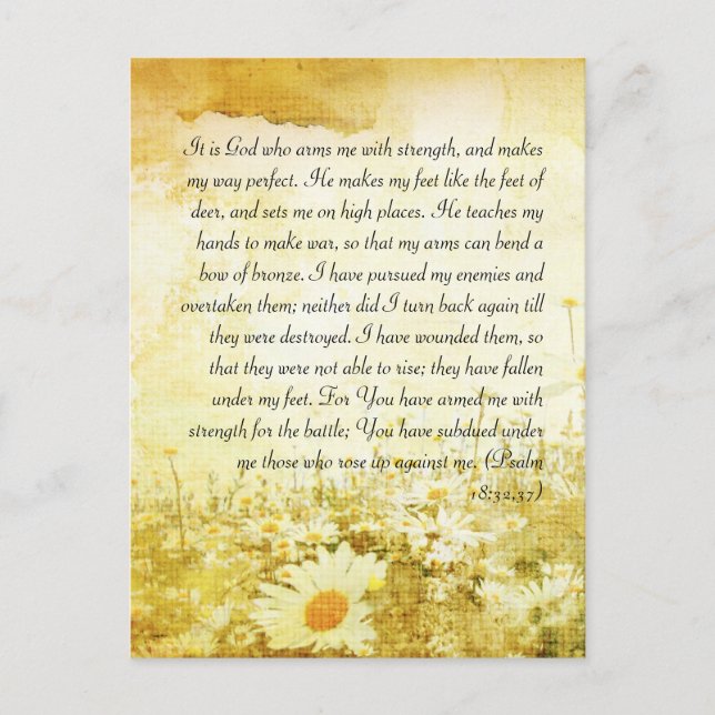 Bible passage, grunge daisy postcard (Front)