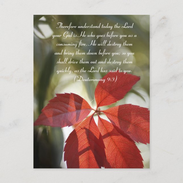 Bible passage, red autumn leaf postcard (Front)