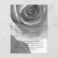 Bible passage, rose close up black and white
