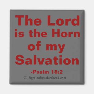 Bible Quotes Magnet