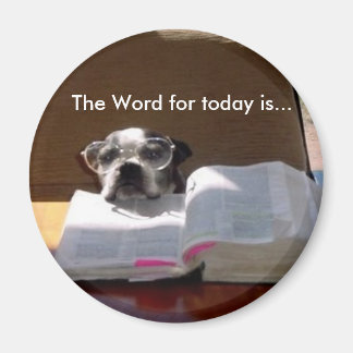 Bible Reading Boston Terrier Magnet