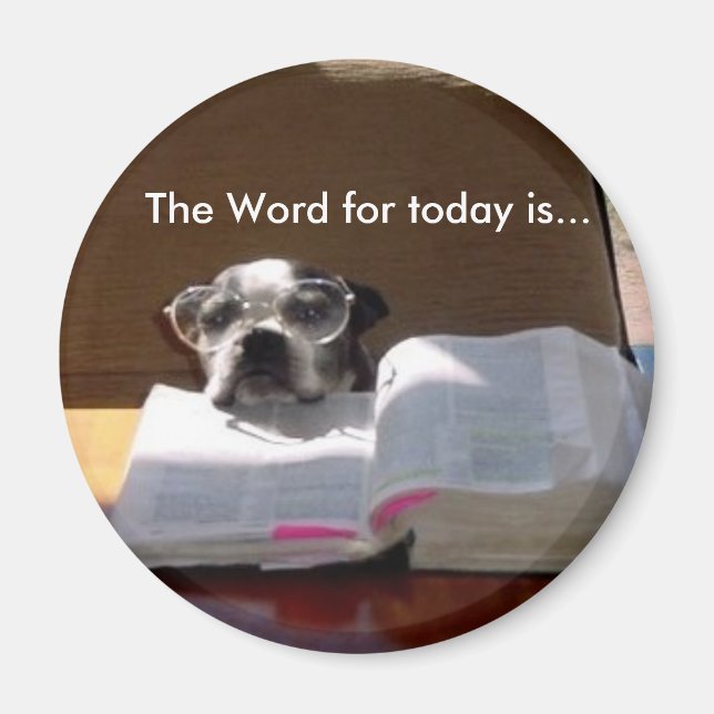 Bible Reading Boston Terrier Magnet (Front)