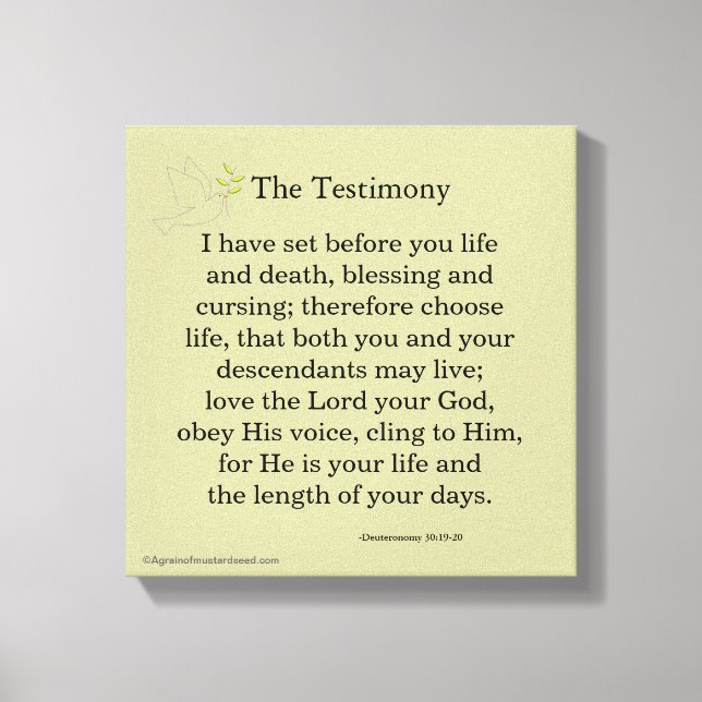 Bible Scripture Inspirational Canvas Print (Front)