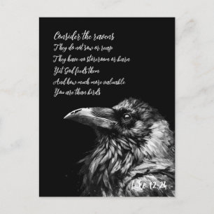 Bible Scripture Luke 12:24 Postcard