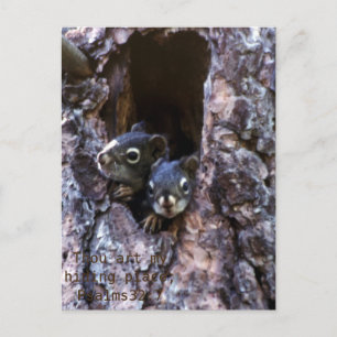 Bible scripture postcard