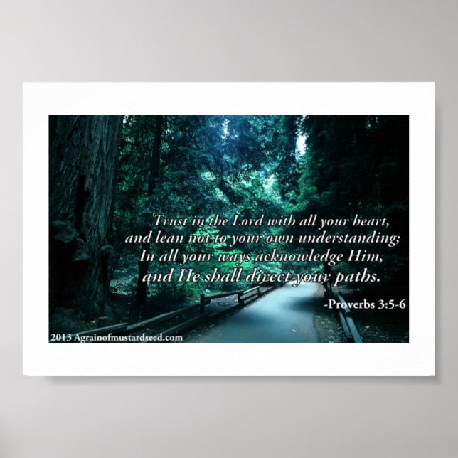 Bible Scripture Prayers Poster (Front)