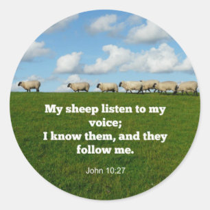 Bible verse, John 10:27, My sheep... Classic Round Sticker