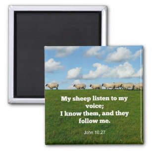 Bible verse, John 10:27, My sheep... Magnet