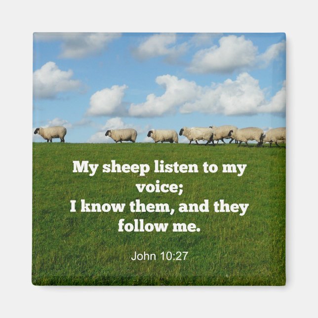 Bible verse, John 10:27, My sheep... Magnet (Front)