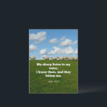 Bible verse, John 10:27, Postcard<br><div class="desc">Famous scripture verse,  John 10:27,  My sheep listen to my voice; I know them,  and they follow me.</div>