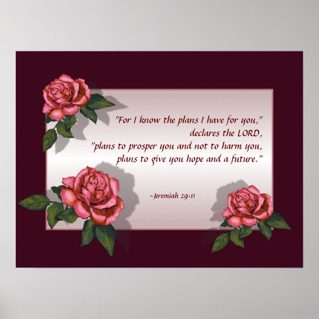 Bible Verse: Pink Roses: Jeremiah 29:11: Art Poster (Front)
