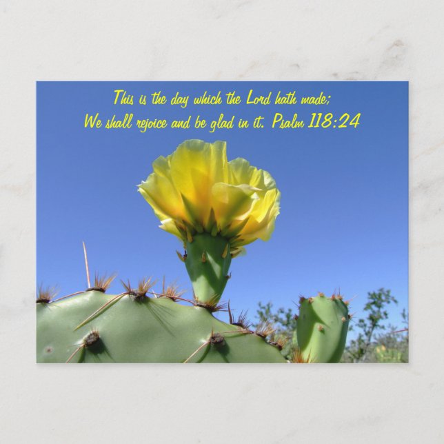 Bible verse postcard cactus flower (Front)