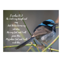Bible Verse  Poster