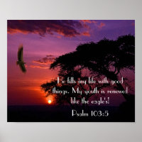 bible verse Psalm 103:5 sunset and eagle