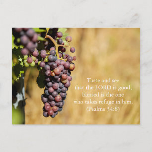Bible Verse Psalms 34:8 Postcard: Taste and See Postcard